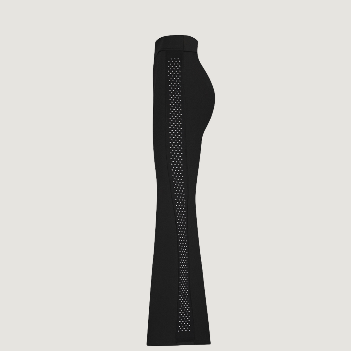 Nice Dressy Pants with Gemstone Details
