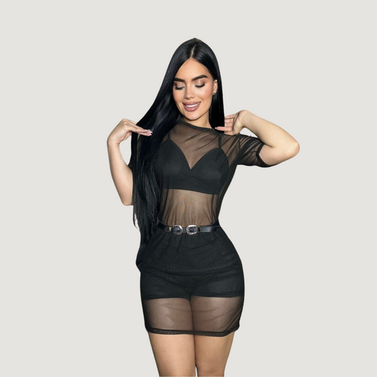Mesh Mini Dress Set..